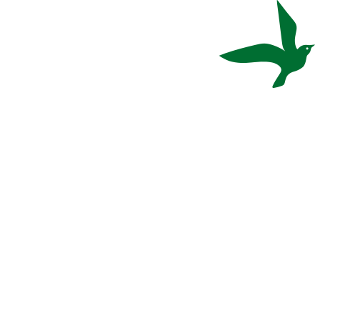 Instytut Miast Praw Człowieka